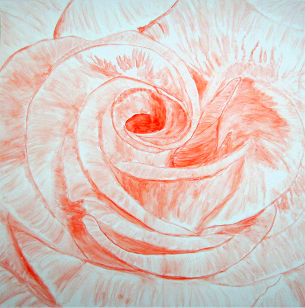 Aquarell Rote Rose Aquarellmalerei